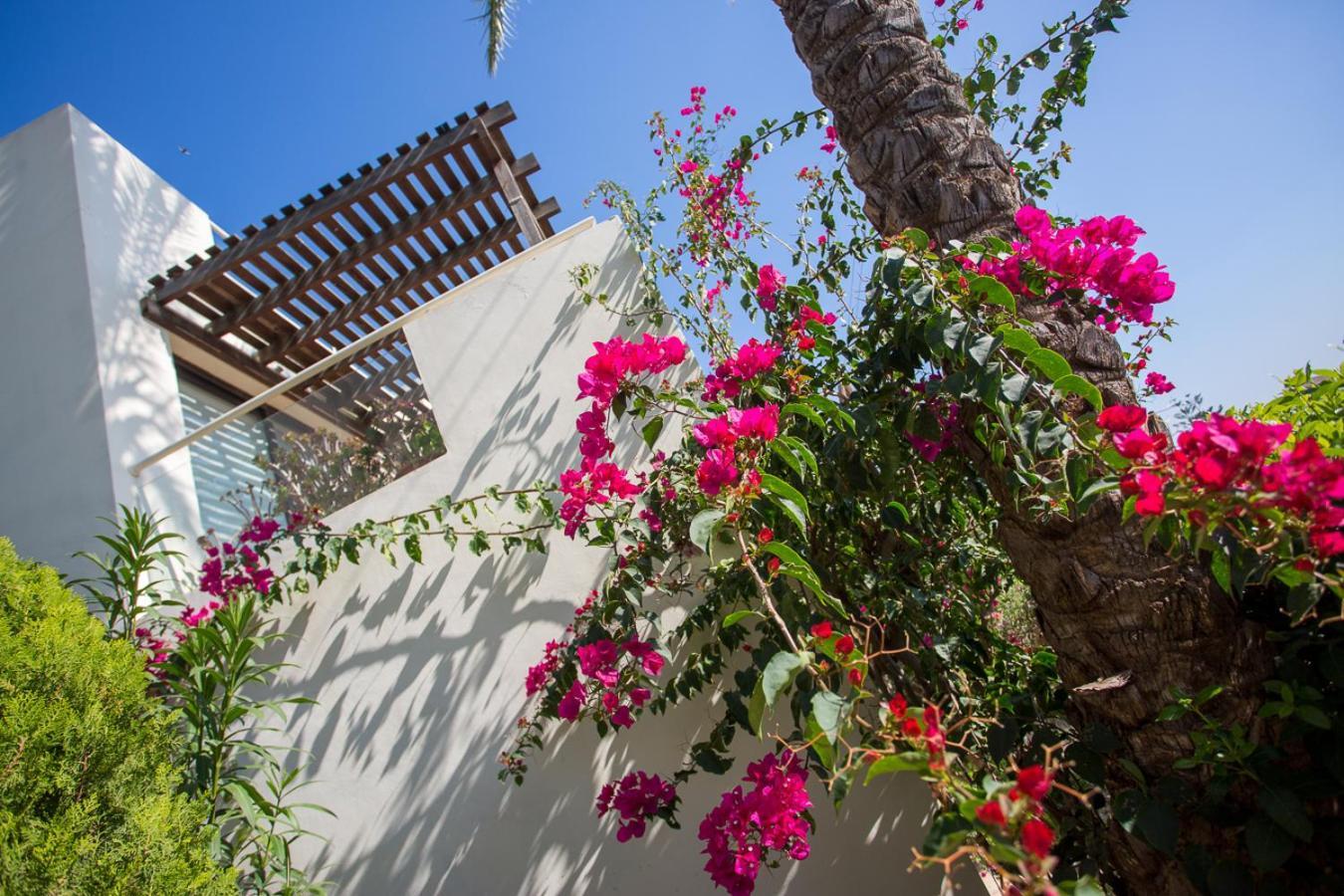 Penthouse Duplex Overlooking The Mediterranean Larnaca Luaran gambar